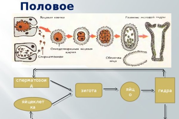 Кракен сообщество