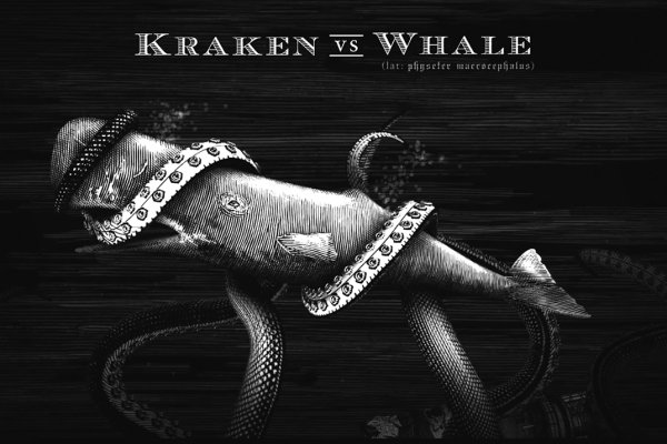 Kraken 12at