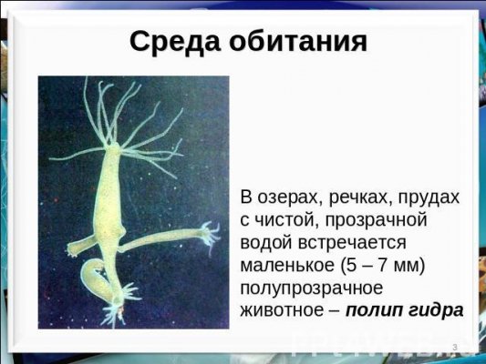 Кракен сайт ссылки актуальные